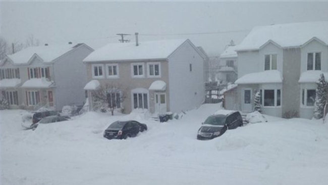 laval extrait betterave